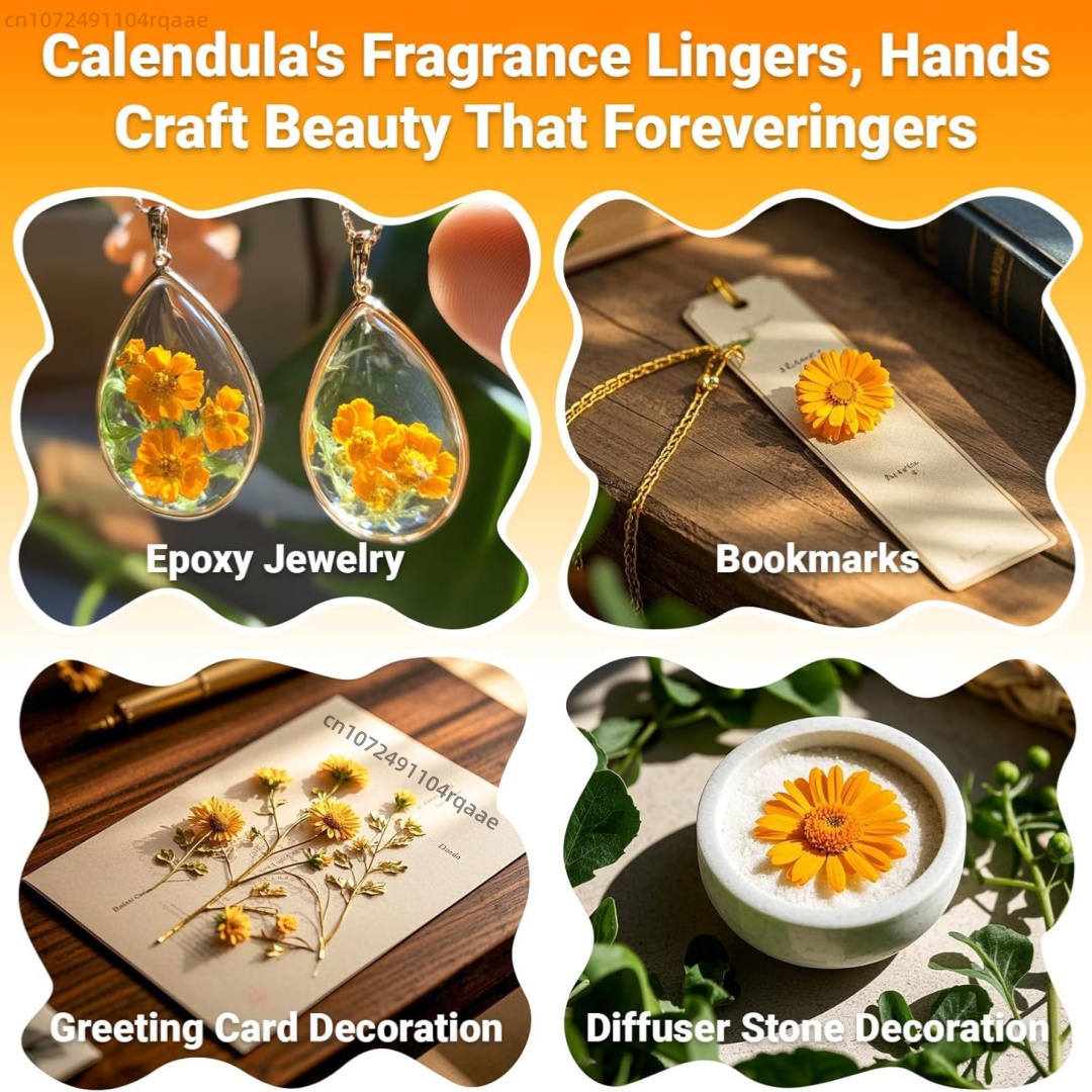 Fiori di calendula secchi natu - Chamomile Tea recensione e prezzo