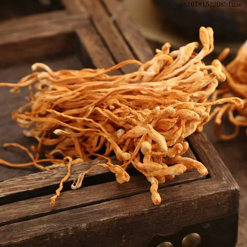 250g/500g Fiori di Cordyceps E - Chamomile Tea recensione e prezzo
