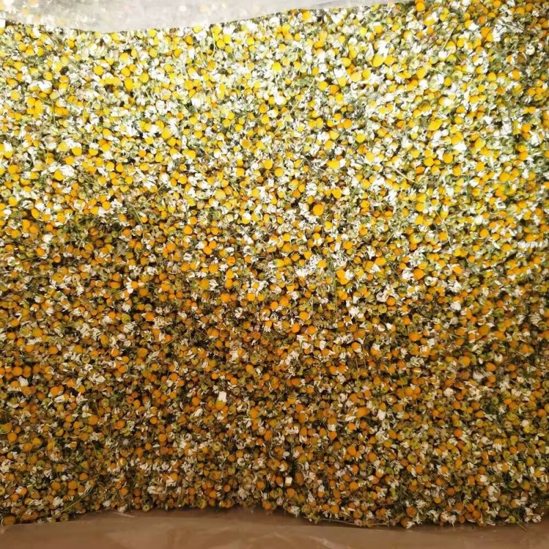 Fiori di camomilla naturali di - Chamomile Tea recensione e prezzo