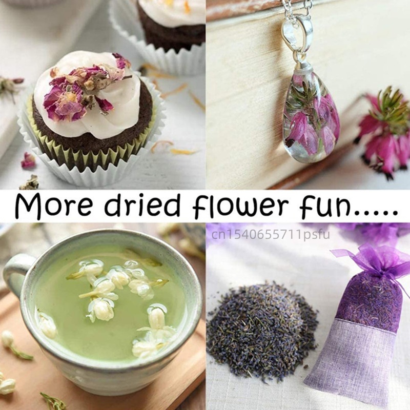 Fiori di camomilla naturali di - Chamomile Tea recensione e prezzo